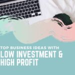 business ideas with low investment and high profit