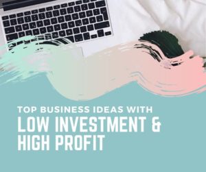 business ideas with low investment and high profit